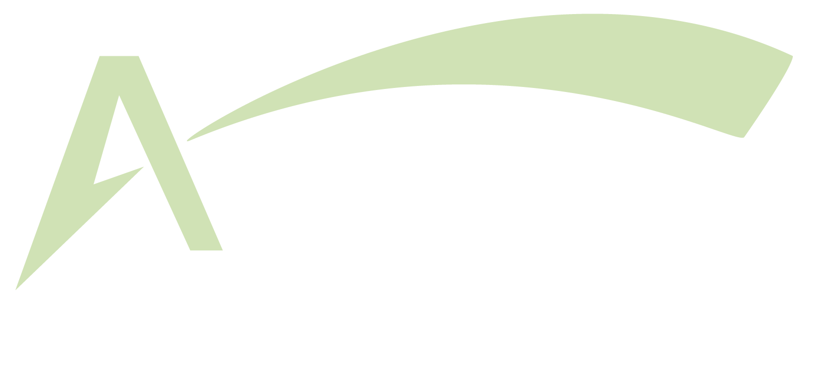 Accelerate Consulting Group